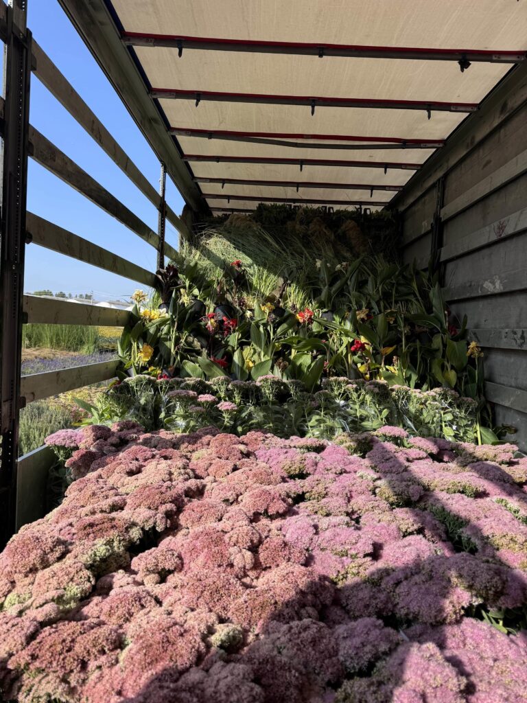 samast_home_gallery_04-min