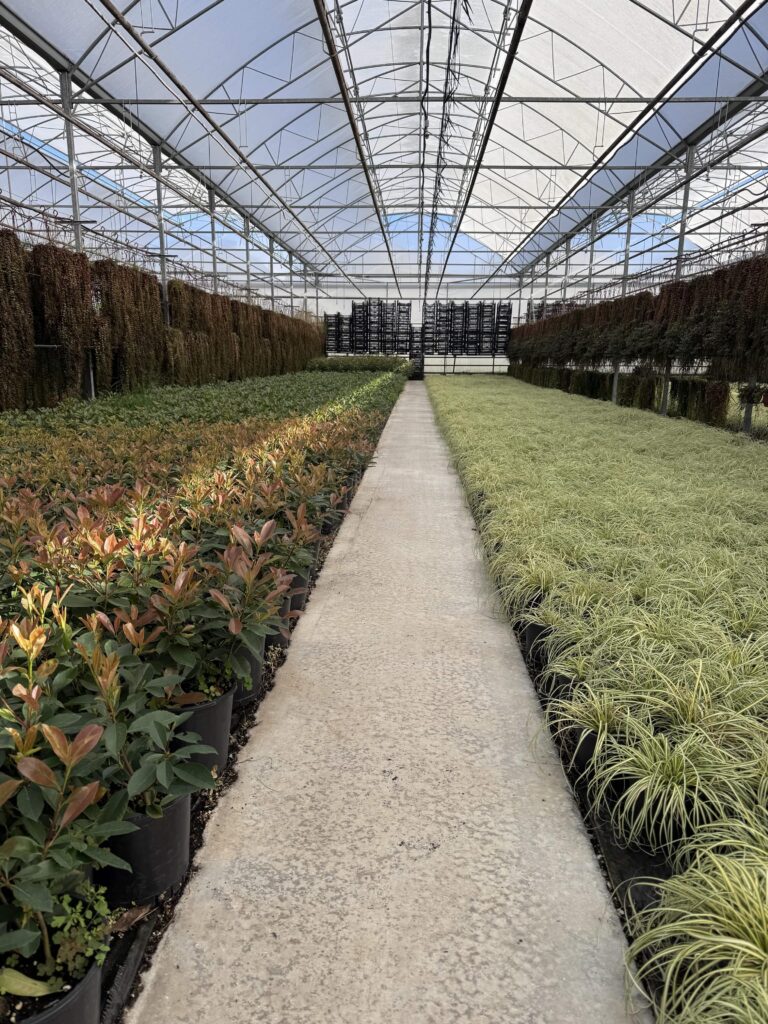 samast_home_gallery_05-min