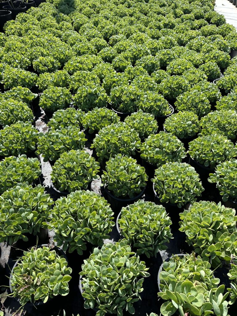 samast_home_gallery_08-min