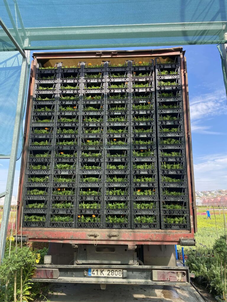 samast_home_gallery_09-min